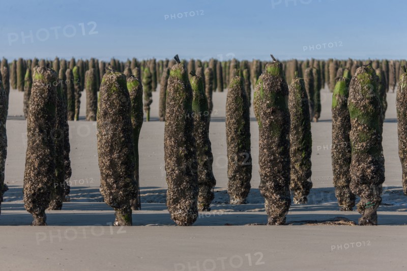 Quend, Somme