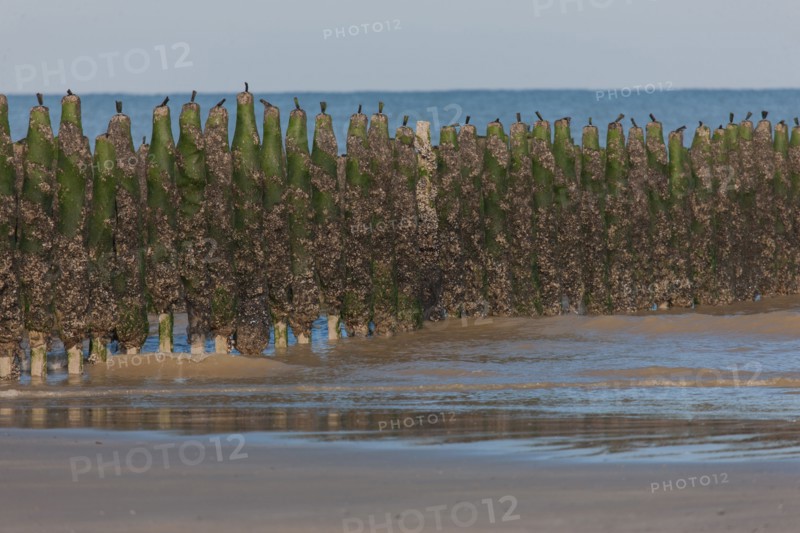 Quend, Somme