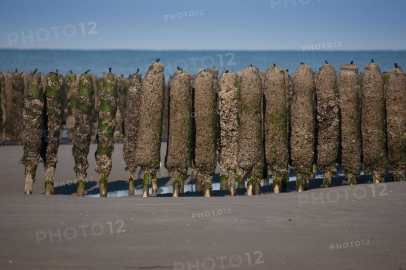 Quend, Somme