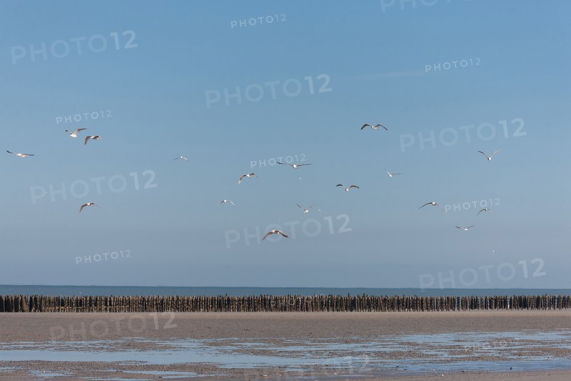 Quend, Somme