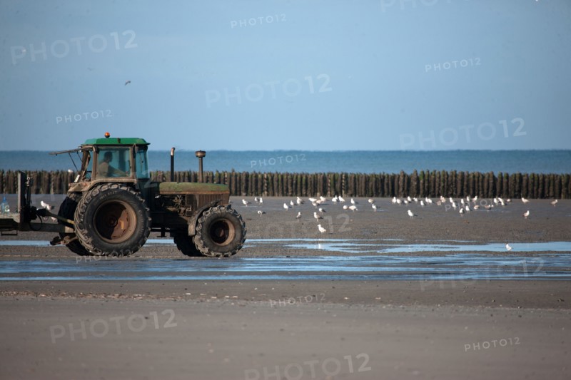Quend, Somme