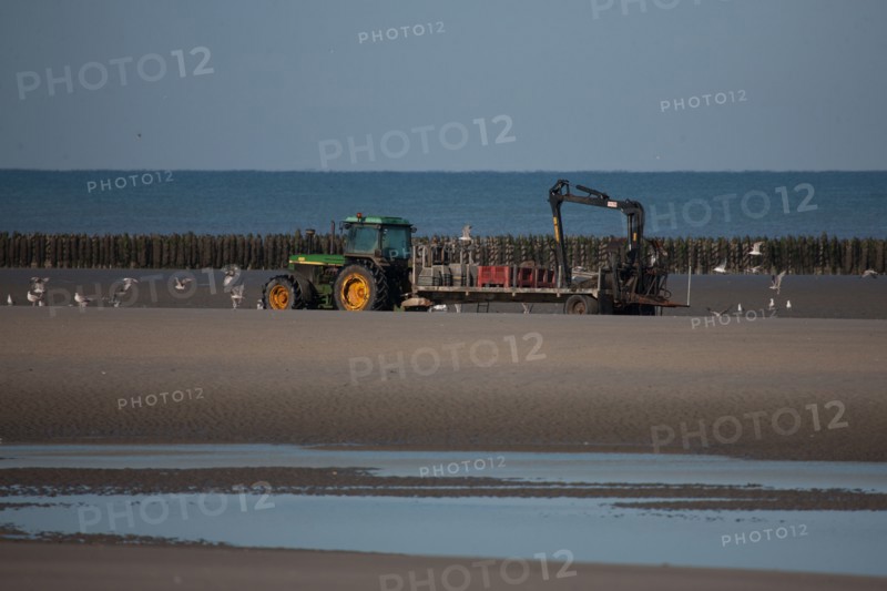 Quend, Somme