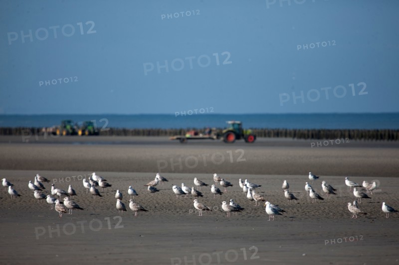 Quend, Somme