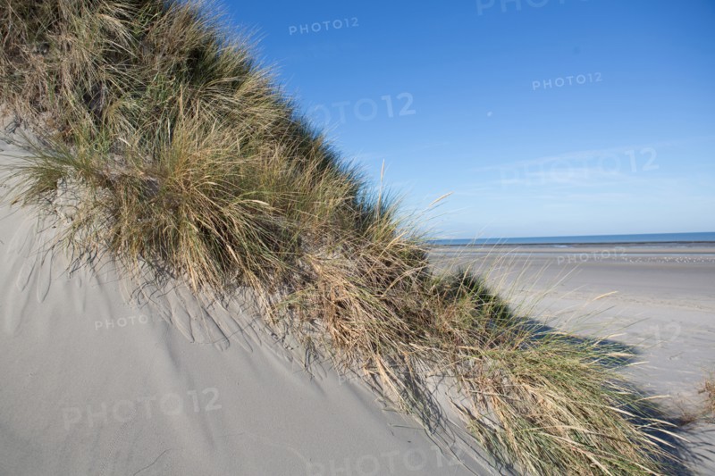 Quend, Somme