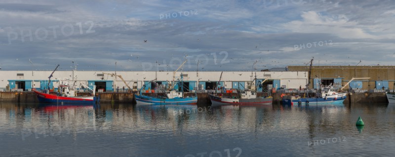 Port de Saint-Guénolé, Finistère Sud