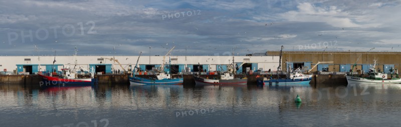 Port de Saint-Guénolé, Finistère Sud