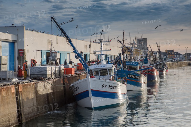 Port de Saint-Guénolé, Finistère Sud