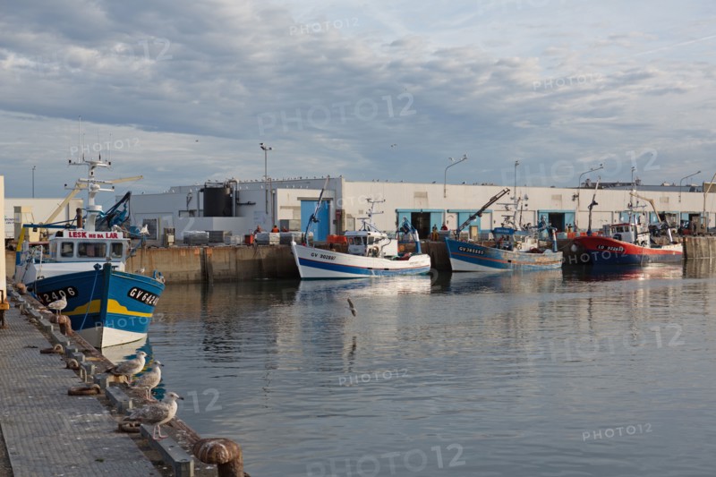 Port de Saint-Guénolé, Finistère Sud