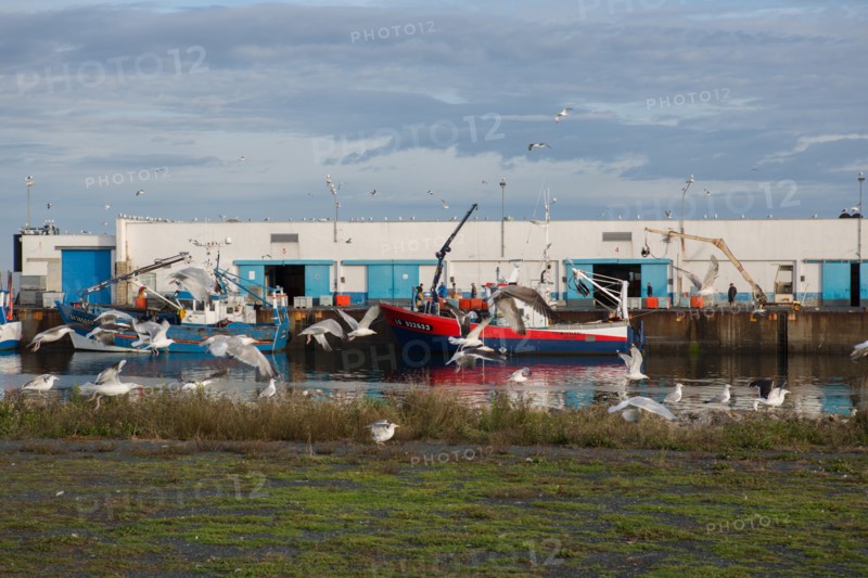 Port de Saint-Guénolé, Finistère Sud