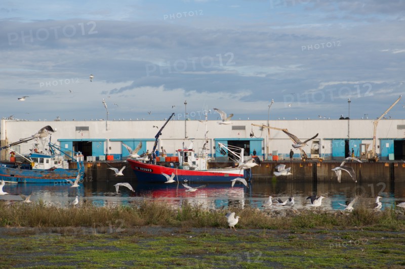 Port de Saint-Guénolé, Finistère Sud