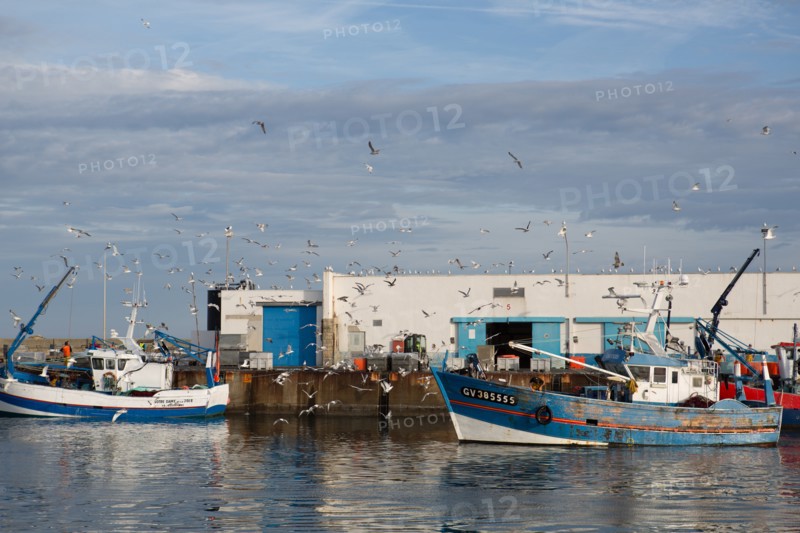 Port de Saint-Guénolé, Finistère Sud