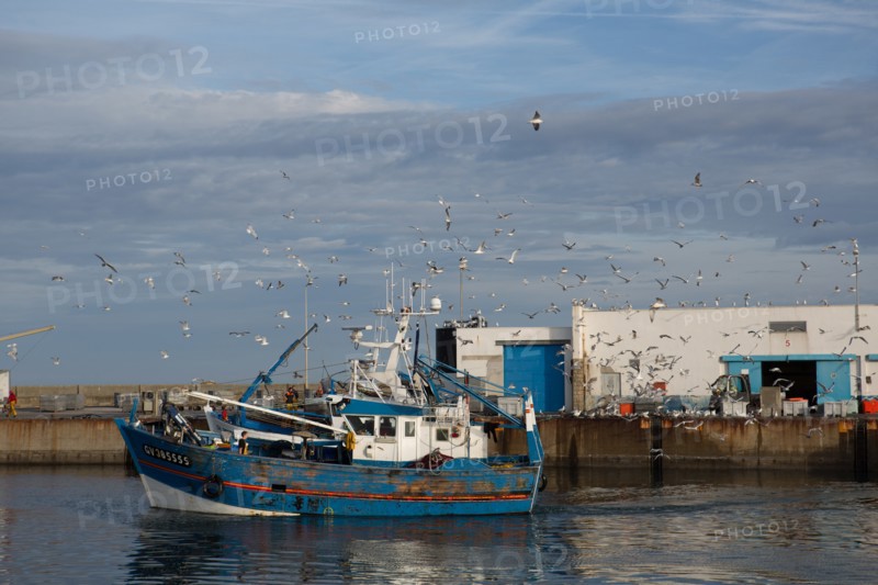 Port de Saint-Guénolé, Finistère Sud