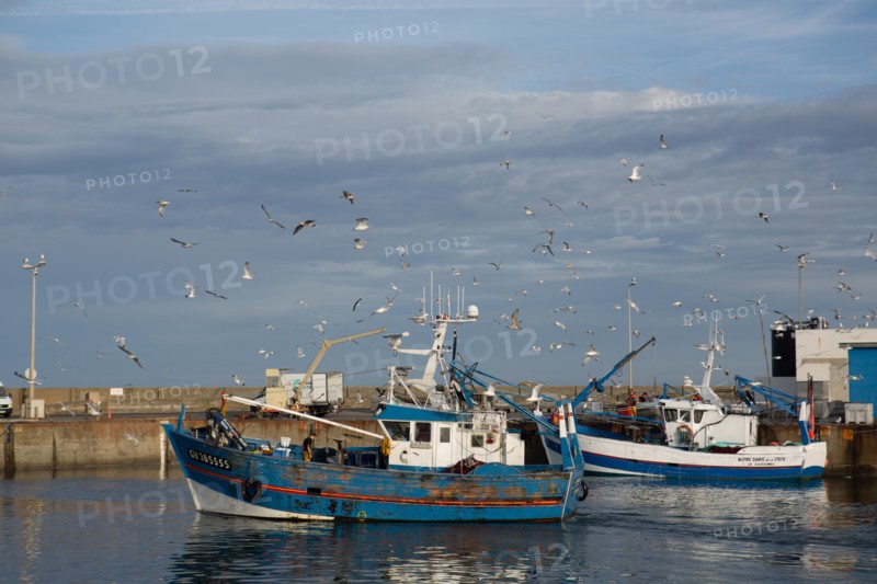 Port de Saint-Guénolé, Finistère Sud