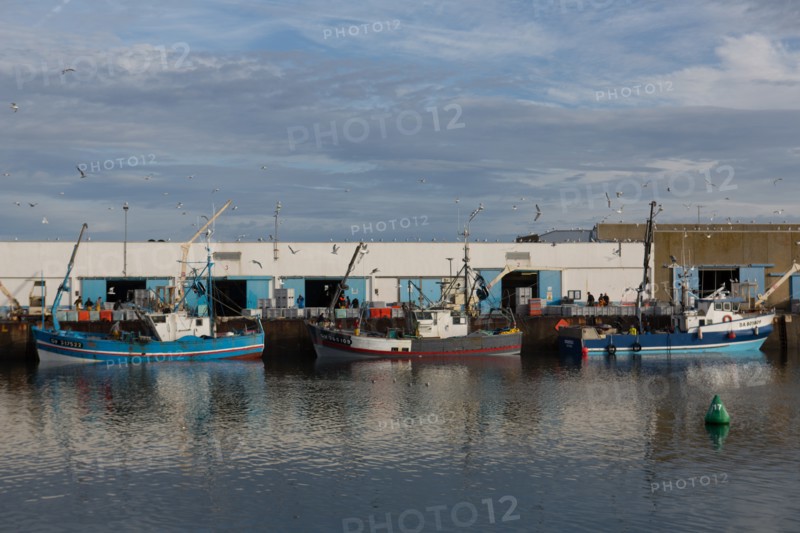 Port de Saint-Guénolé, Finistère Sud
