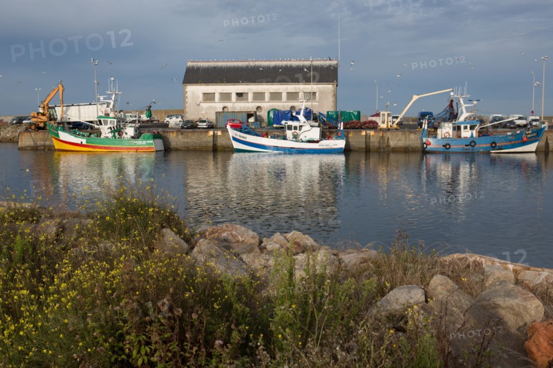 Port de Saint-Guénolé, Finistère Sud