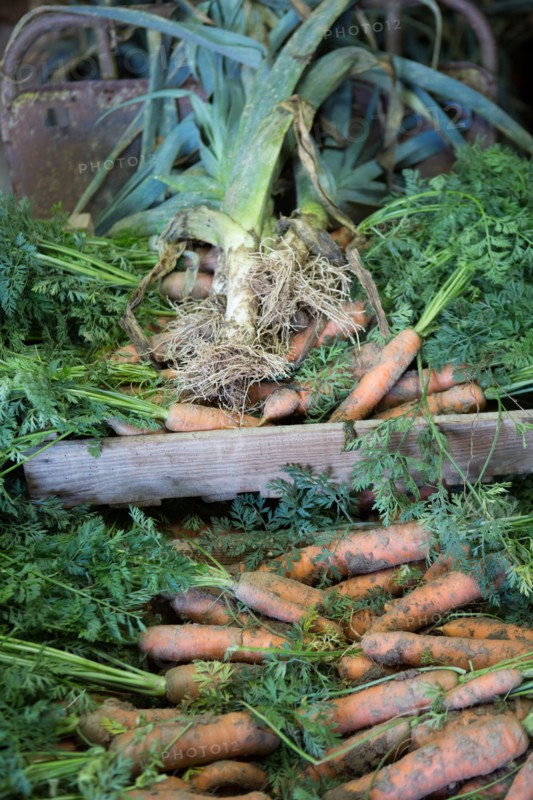 Terroir de caux