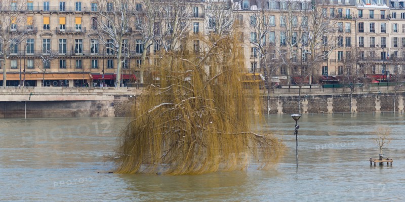 Paris under the snow, February 2018