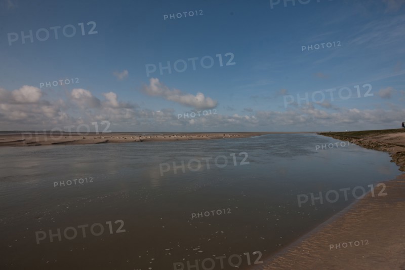 Baie d'Authie (Pas-de-Calais, France)