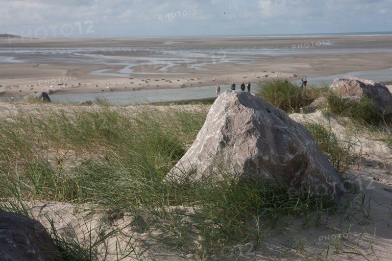 Baie d'Authie (Pas-de-Calais, France)