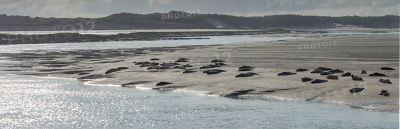Baie d'Authie (Pas-de-Calais, France)