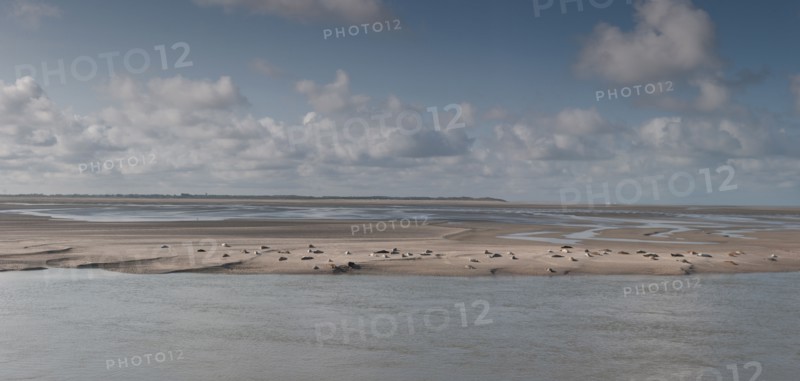 Baie d'Authie (Pas-de-Calais, France)