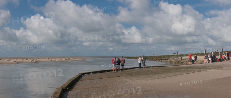 Baie d'Authie (Pas-de-Calais, France)