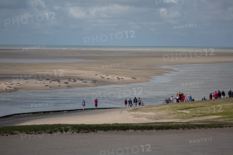 Baie d'Authie (Pas-de-Calais, France)