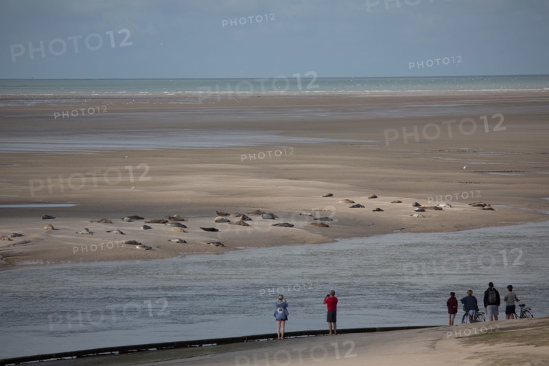Baie d'Authie (Pas-de-Calais, France)