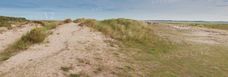 Baie d'Authie (Pas-de-Calais, France)