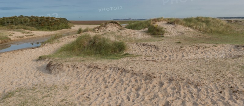 Baie d'Authie (Pas-de-Calais, France)