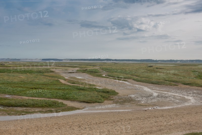 Baie d'Authie (Pas-de-Calais, France)