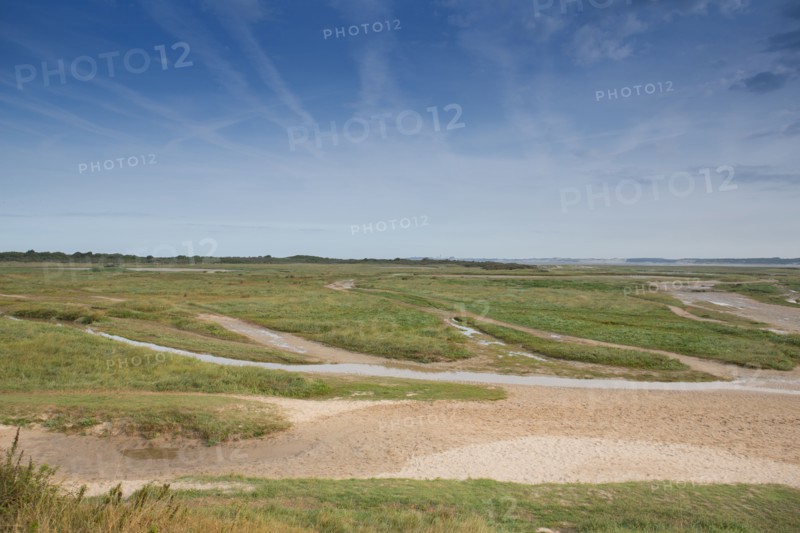 Baie d'Authie (Pas-de-Calais, France)