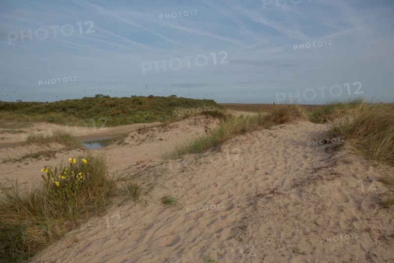 Baie d'Authie (Pas-de-Calais, France)