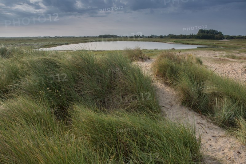 Baie d'Authie (Pas-de-Calais, France)