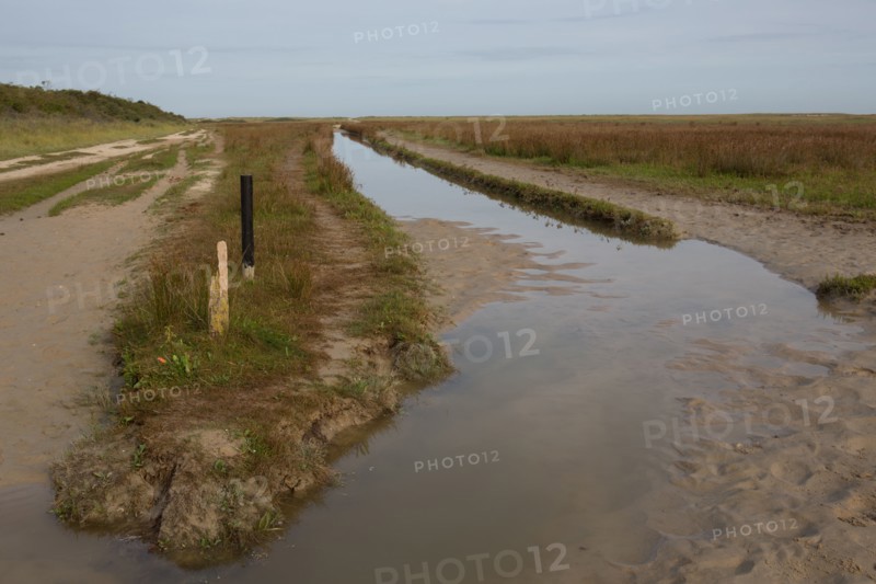 Baie d'Authie (Pas-de-Calais, France)