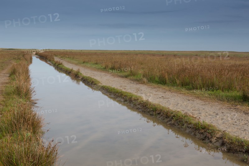 Baie d'Authie (Pas-de-Calais, France)