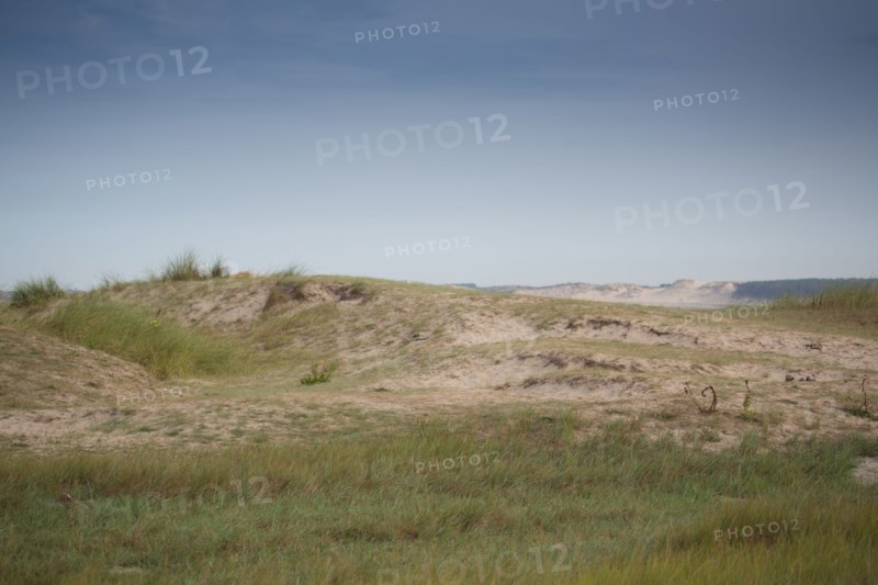 Baie d'Authie (Pas-de-Calais, France)