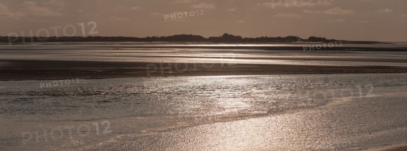 Le Crotoy (Baie de Somme, France)