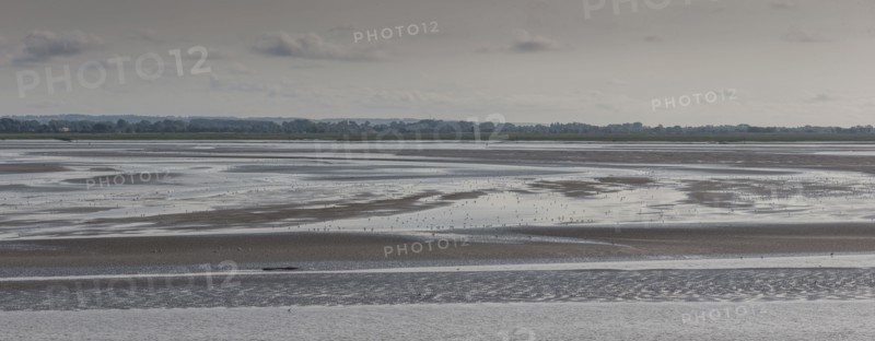 Le Crotoy (Baie de Somme, France)