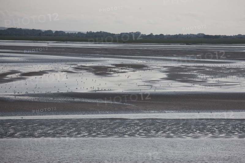 Le Crotoy (Baie de Somme, France)
