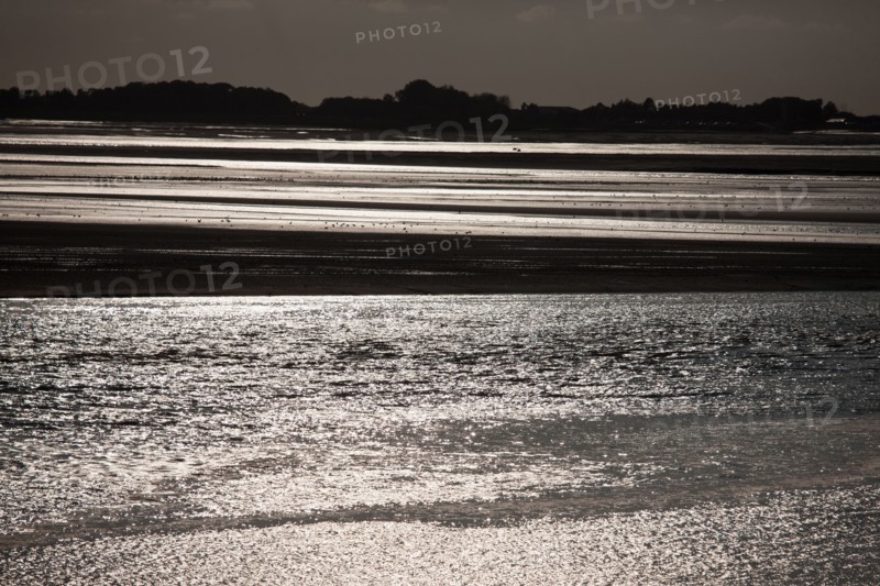 Le Crotoy (Baie de Somme, France)