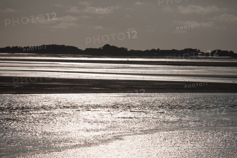 Le Crotoy (Baie de Somme, France)