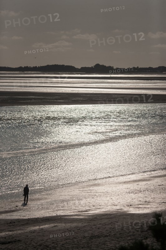 Le Crotoy (Baie de Somme, France)