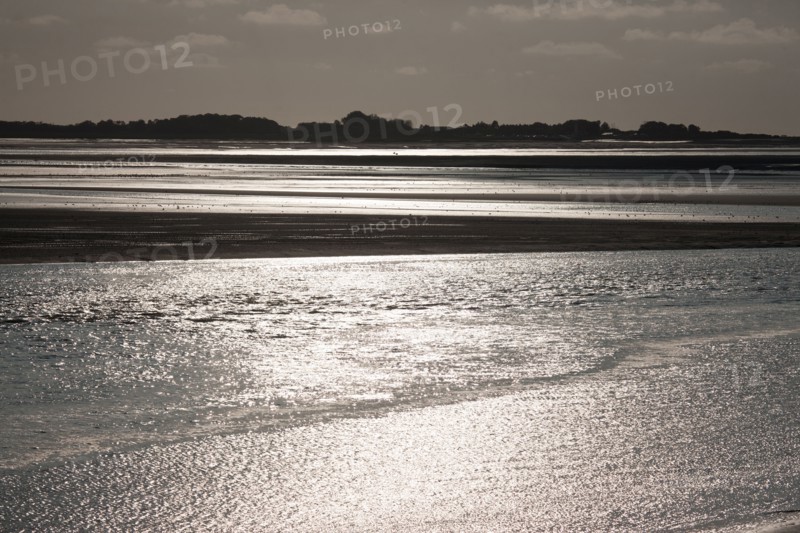 Le Crotoy (Baie de Somme, France)