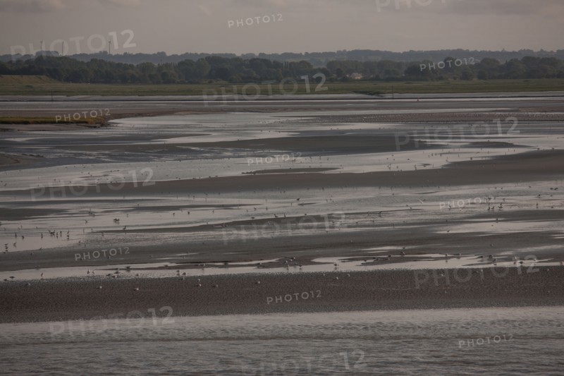Le Crotoy (Baie de Somme, France)