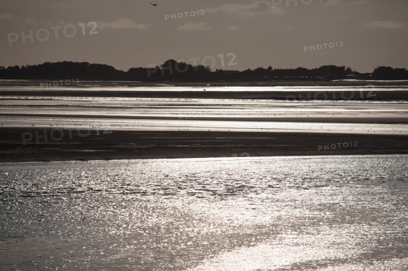 Le Crotoy (Baie de Somme, France)