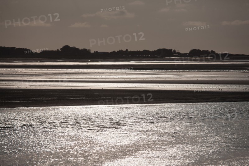 Le Crotoy (Baie de Somme, France)