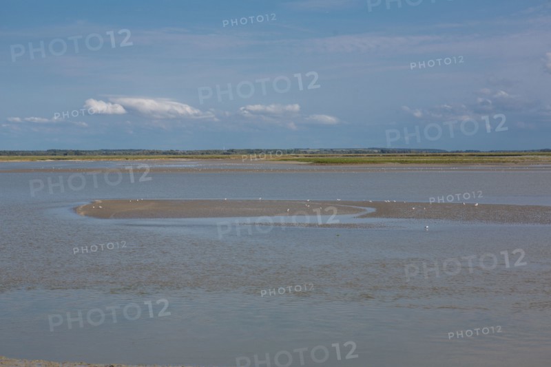 Le Crotoy (Baie de Somme, France)