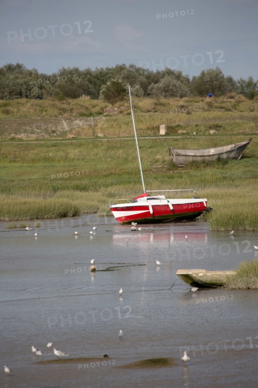 Le Crotoy (Baie de Somme, France)