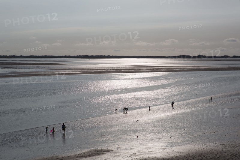 Le Crotoy (Baie de Somme, France)